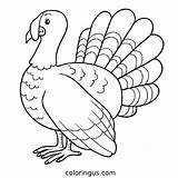 Turkey Coloring Pages Free Printable PDF sketch template