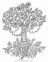 Free Printable tree Of Life adult coloring Page Download It In PDF  sketch template