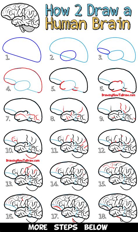 How to Draw a Human Brain – Easy Steps Drawing Lesson for Beginners ...