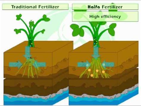 Controlled Release Nutrition - how does it work? - YouTube