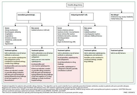 Beta-Lactam Allergy and Cross-Reactivity | RECAPEM