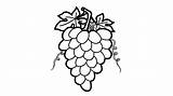 How To draw Grapes coloring Pages For Kids  Glitter grapes sketch template