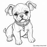 French Bulldog Printable Coloring Pages  Free & sketch template