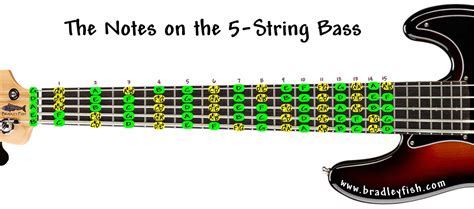 The Notes on the 5 String Bass!! - Bradley Fish