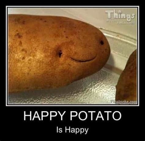 30 Potato Memes That Are Guaranteed To Make Your Day - SayingImages.com