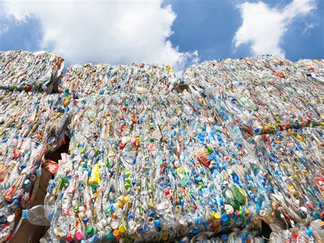 EGYPT: 8 private companies unite around a charter for plastic recycling ...