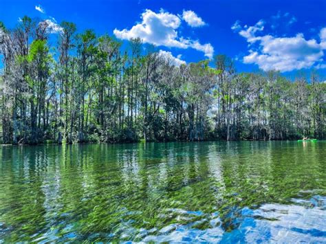 Rainbow River: Your New Favorite Florida Destination - Travel with Rachie