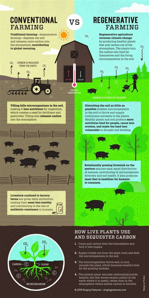 A Look at Conventional Agriculture vs Permaculture Farming - TheCBGGurus