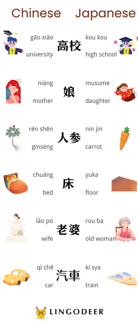 Chinese vs Japanese Language | All You Need to Know