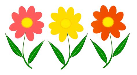 flower clipart png hd - Give Me Pleasure Vodcast Frame Store