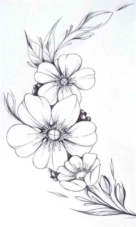 Pin by Girlean da Silva on Flores | Flower art drawing, Flower line ...