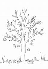 Bare Tree Coloring Page sketch template