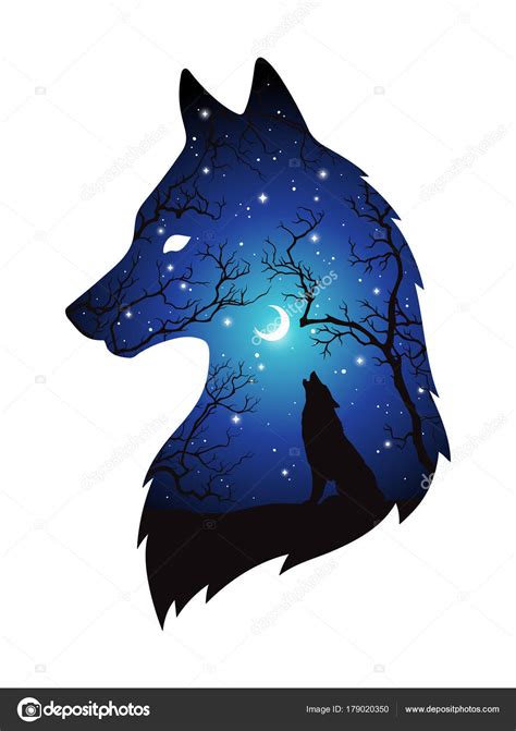 Double exposure silhouette of wolf in the night forest, blue sky with crescent moon and stars ...