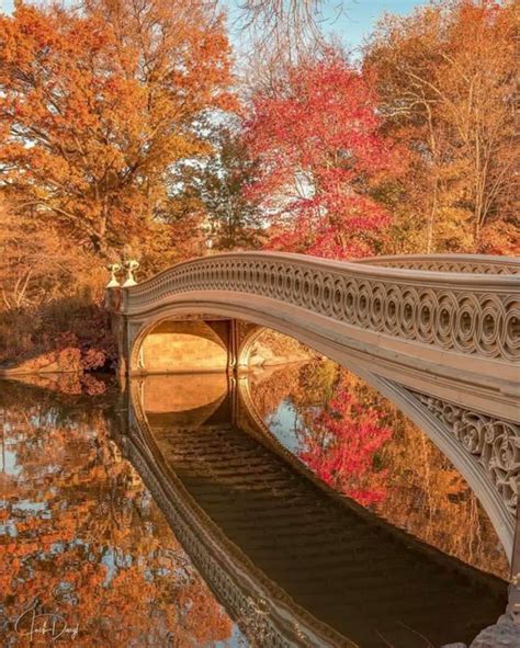 Autumn bridge in Central Park : pics