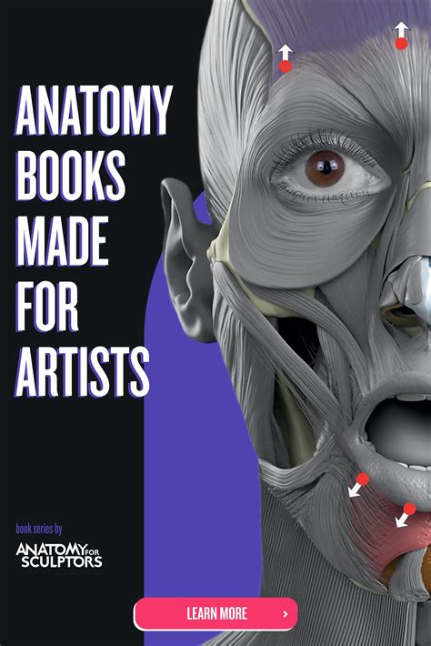 Anatomy For Sculptors | Anatomy Book Series For Artists | Anatomy books for artists, Concept art ...