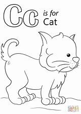 Letter C Is For Cat coloring Page From Category Select  sketch template