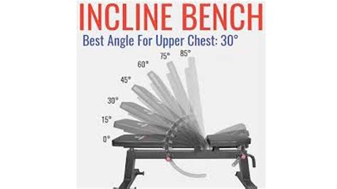 The Kingdom - CORRECT INCLINE BENCH PRESS ANGLE. Research...