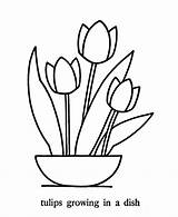 Basic Coloring Pages  Simple And Fun Printable sketch template