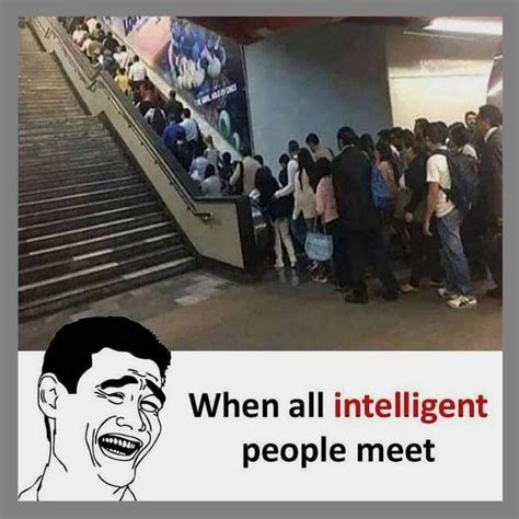 when all intelligent people meet | Funny study quotes, Fun quotes funny ...