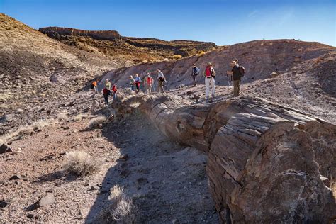 Guided Backcountry Hikes Offered at Petrified Forest | Friends of Petrified Forest National Park