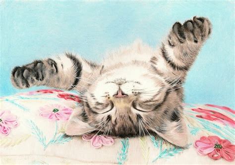 Sleeping kitten 2 (coloured pencil drawing) by AnnemiekedW.deviantart.com | Cats illustration ...