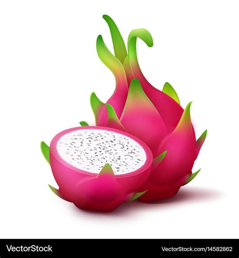 Whole and sliced dragon fruit Royalty Free Vector Image