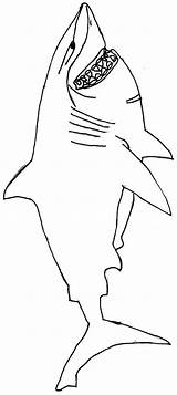 Bruce Finding Nemo Coloring Pages  Free Printable Templates sketch template