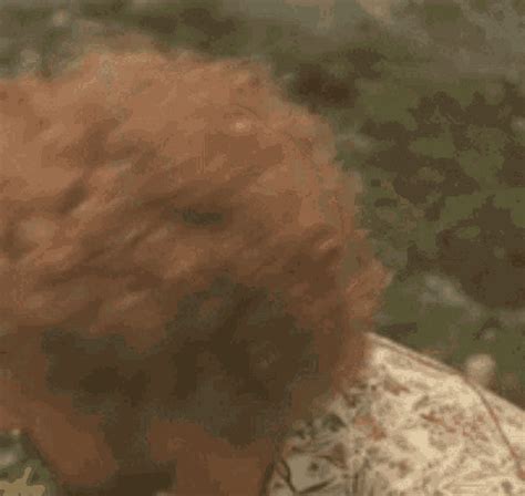 Paint Owen Wilson Wow GIF - Paint Owen Wilson Wow - Discover & Share GIFs