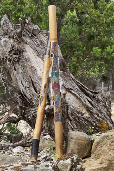 Best Didgeridoo For Beginners: A Quick Guide – Sound Adventurer – Exploring the World of Music ...