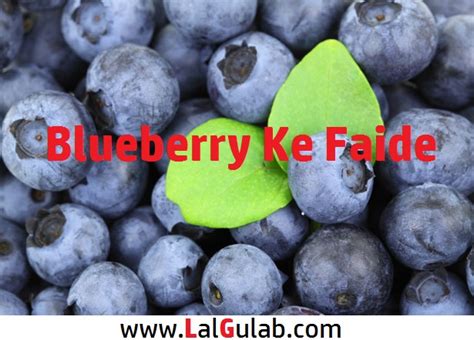 Blueberry Benefits In Urdu Blueberry Ke Faide In Hindi Blueberry For Memory ~ Roman Urdu ...