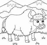 Yak Animal Coloring Page For Kids 10002449 Vector Art At Vecteezy sketch template