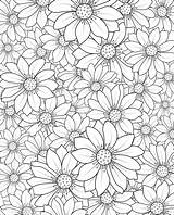 Beautiful Botanical Daisy Flower Pattern Illustration For coloring Book  sketch template