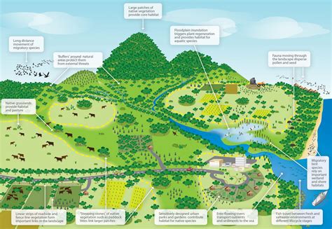 National Wildlife Corridors Plan - Home page