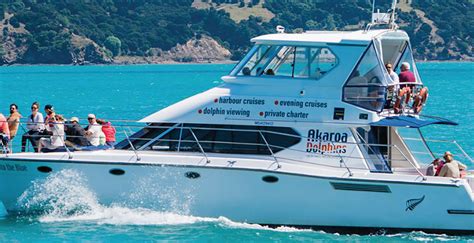 Akaroa Dolphins-Harbour Nature Cruises | Christchurch NZ