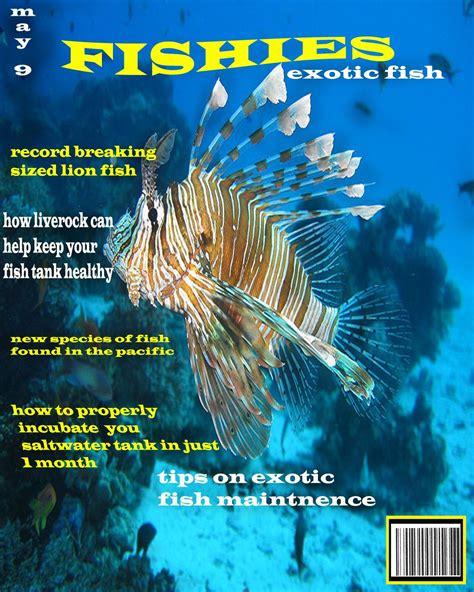 FISHIES - exotic fish Saltwater Tank, Exotic Fish, Best Graphics, Magazine Covers, Fish Tank ...