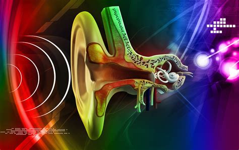 Electrical Synapses Are Critical for Chemical Synapse Function