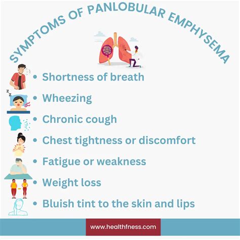 Understanding Panlobular Emphysema: Symptoms, Treatment And Prevention (2023) | HealthFness