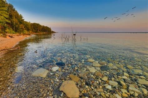 Discover the Wonders of Puddingstones: Nature's Mosaic Masterpieces ...