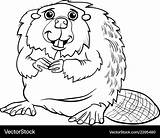 Beaver Coloring Pages sketch template