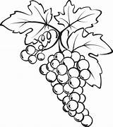 Grapes Coloring Pages 19 Free Printables Coloringall  Vrogueco sketch template