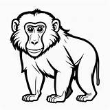 Baboon Outline Black And White cute coloring Book  Premium AI sketch template