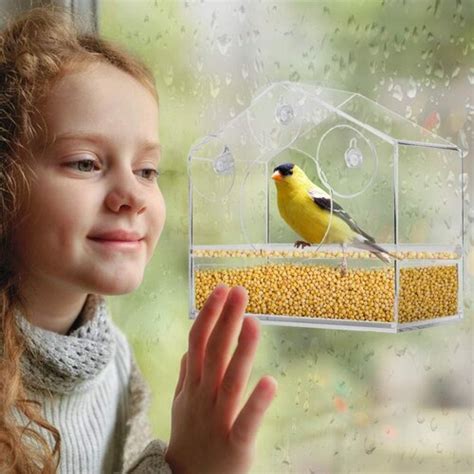 vivohome Window Decorative Bird Feeder & Reviews | Wayfair