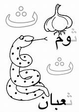 Arabic Coloring Pages At GetColoringscom  Free Printable Colorings sketch template