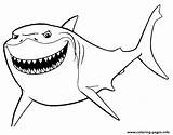 Bruce Finding Nemo Movie Coloring Page Printable sketch template
