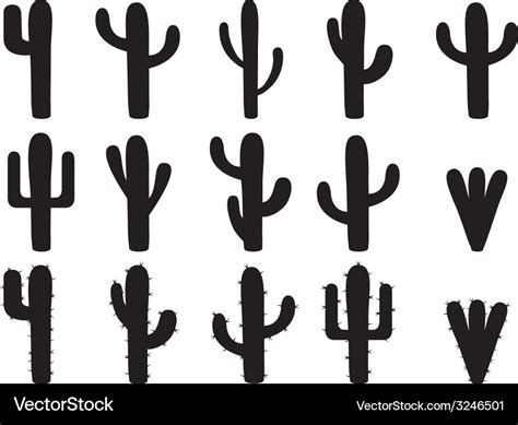 Cactus silhouettes Royalty Free Vector Image - VectorStock