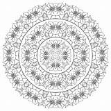 Complex mandala With Many Flowers  Mandalas Coloring Pages For Adults sketch template