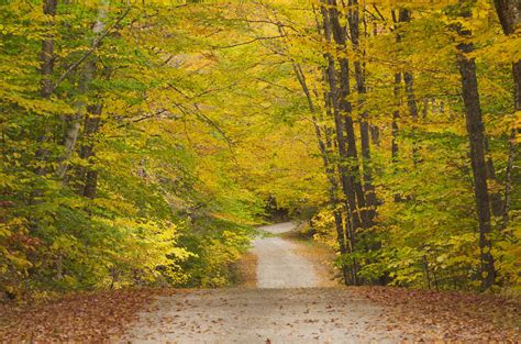 Vermont Fall Foliage - Alan Crowe Photography