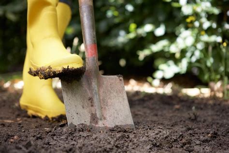 Using Shovels In The Garden - Types Of Garden Shovels And Their Uses