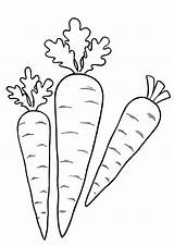 Carrots Coloring Page  Ricami A Mano Disegni Da Colorare Colori sketch template