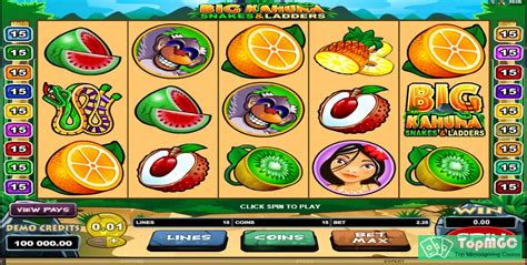 Big Kahuna: Snakes and Ladders Slot Machine: Review & Demo